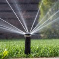 Boost Your Winter Garden Lawn: How Sprinkler System Landscaping Supports Seasonal Tree Care Services