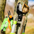 Choosing the Right Tools for Seasonal Tree Care Projects Made Simple