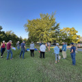 The Importance of Being Present During Seasonal Tree Care Services: A Professional's Perspective