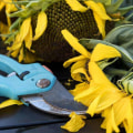The Essential Tools for Seasonal Tree Care: A Professional's Perspective