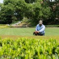 The Importance of Preparing Your Yard for Seasonal Tree Care Services