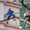 Seasonal Tree Care Tips: How Tree Service Cutting In Bethany, OK Can Keep Your Trees Healthy