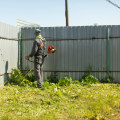 Why A Tree Care Service Provider Should Partner With A Lawn Care And Maintenance Service Provider For Seasonal Tree Care Projects In Northern Virginia?