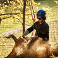 The Benefits of Receiving a Quote for Seasonal Tree Care Services