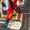 The Importance of Proper Seasonal Tree Care Services