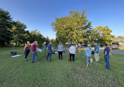 The Importance of Being Present During Seasonal Tree Care Services: A Professional's Perspective