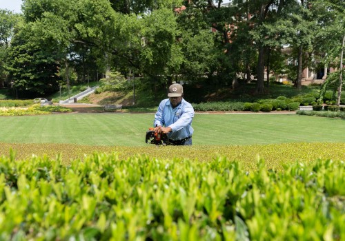 The Importance of Preparing Your Yard for Seasonal Tree Care Services