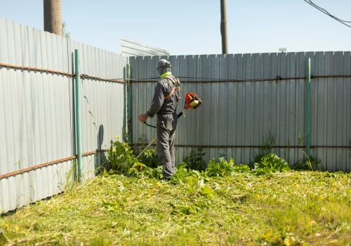 Why A Tree Care Service Provider Should Partner With A Lawn Care And Maintenance Service Provider For Seasonal Tree Care Projects In Northern Virginia?
