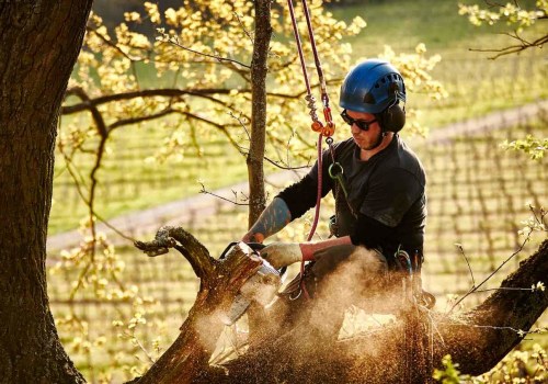 The Benefits of Receiving a Quote for Seasonal Tree Care Services