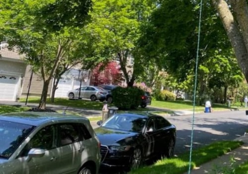 Seasonal Care Services Solutions: Expert Tips and Insights From The Best Tree Trimming Company In Essex County
